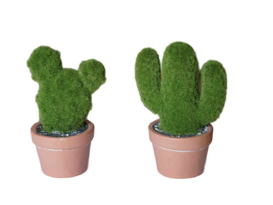 15796 Keramik Kaktus Moosdesign