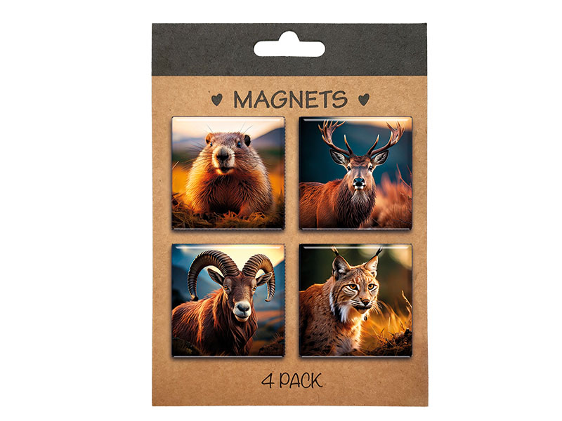 Souvenir Photo magnet 4x4cm Oberammergau , 4pcs/set on cardboard