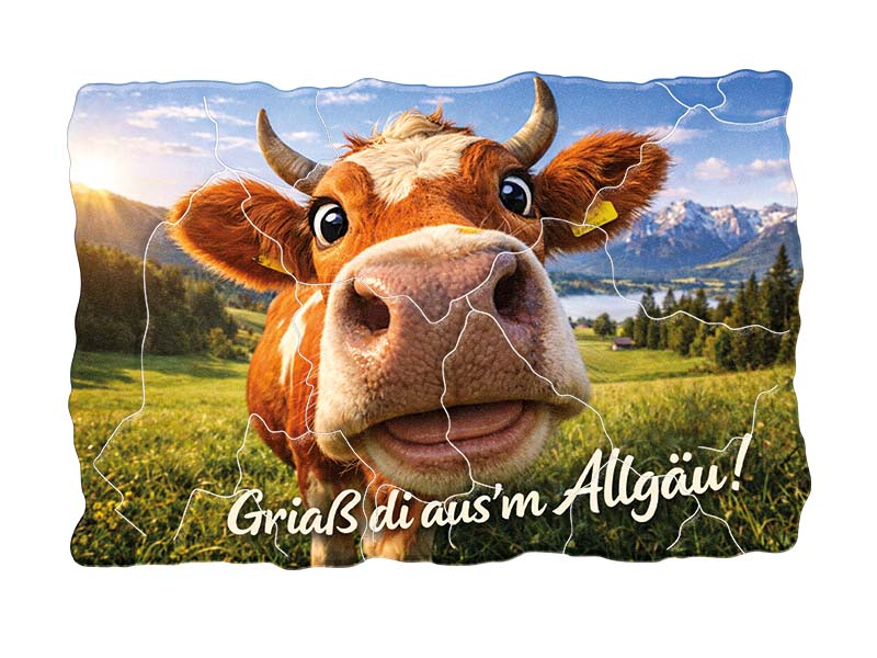 Souvenir Foto Magnet Allgäu aus Kunststoff 8x5cm