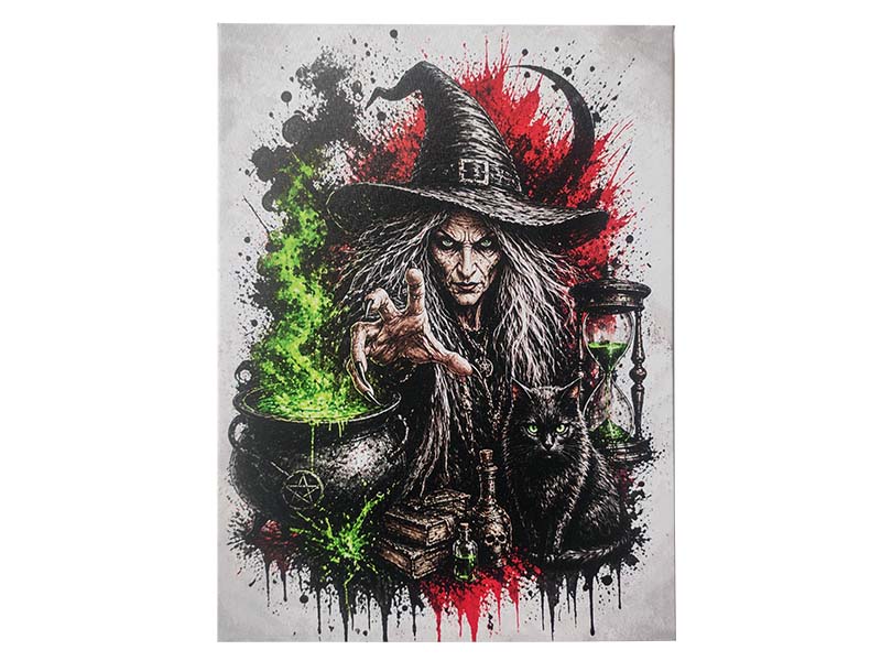 Leinwand Hexe 30x40cm
