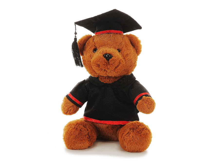 30843 Plüsch Bär Diplom