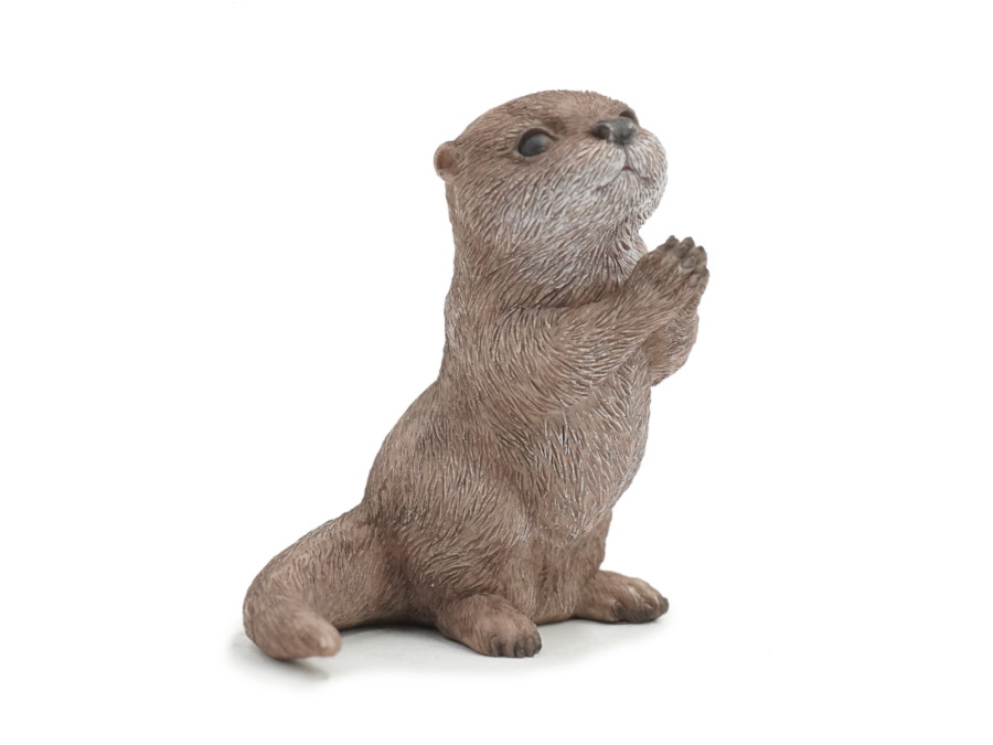 17831 Poly Fischotter