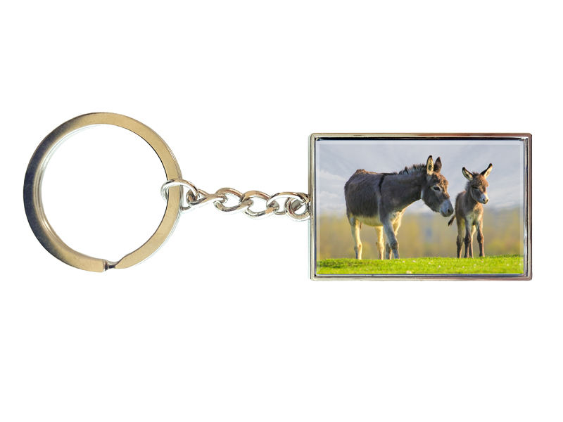 16957 Metall Schlüsselanhänger Esel