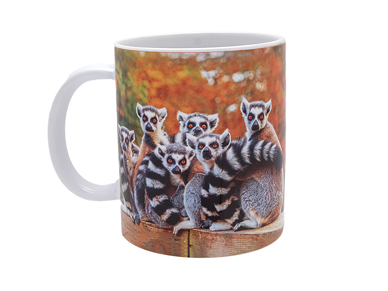 16998-0 Keramik Foto Tasse lemur