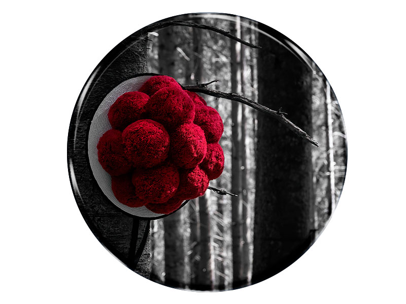 19121 Foto Magnet rund Bollenhut