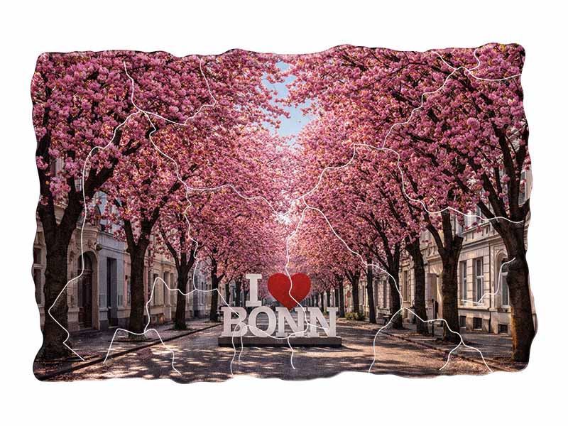 Souvenir Foto Magnet Bonn aus Kunststoff 8x5cm