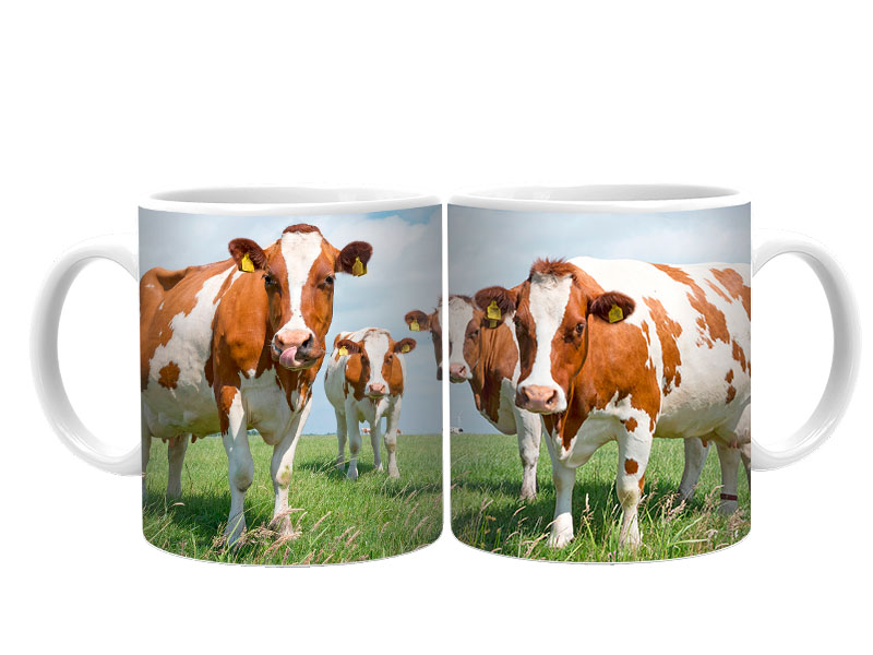 19130 Keramik  Foto Tasse Kühe