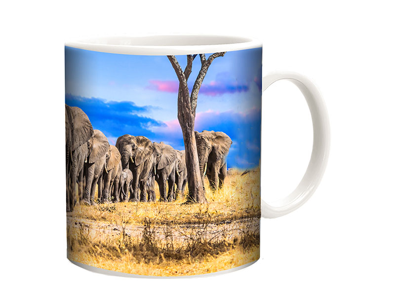 Foto Keramik Tasse Elefanten