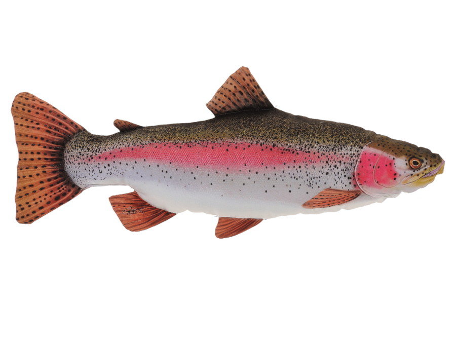 30406 Stoff Regenbogenforelle