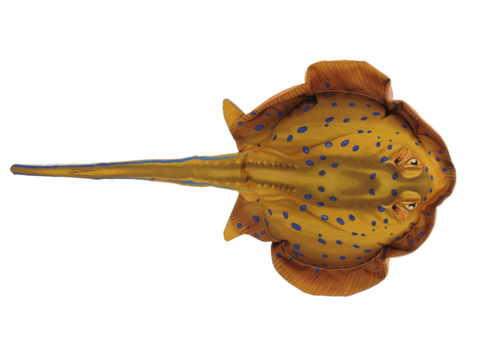 30423 Stoff Blaupunktrochen