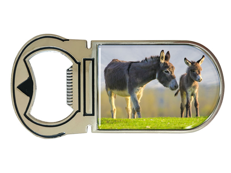 16951 Metall Magnet Kapselheber Esel
