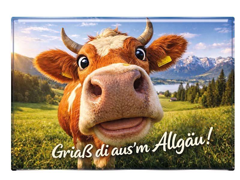Souvenir Foto Magnet Allgäu 9,5x6,5cm