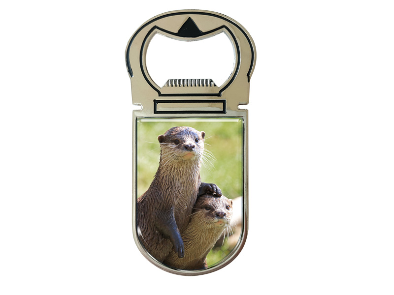 Metall Magnet Kapselheber Otter