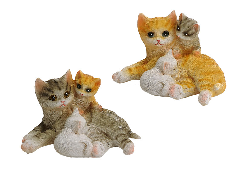 17669 Poly Katzenfamilie