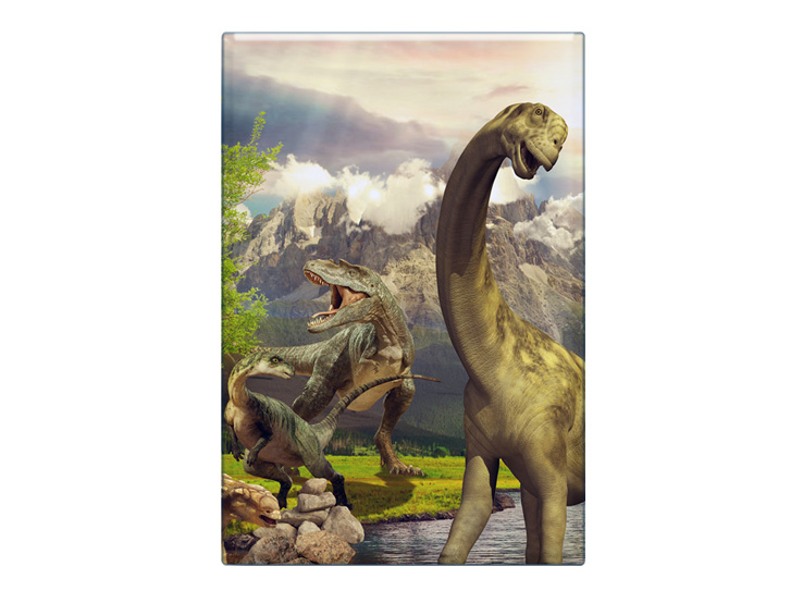 16874 Foto Magnet Dinosaurier