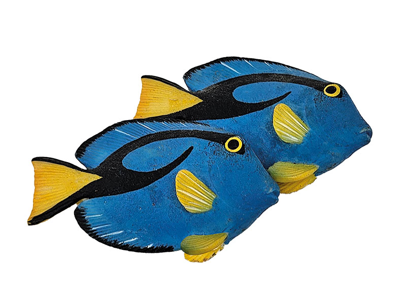 Magnet Doktorfisch aus Poly 10x1x6cm   
