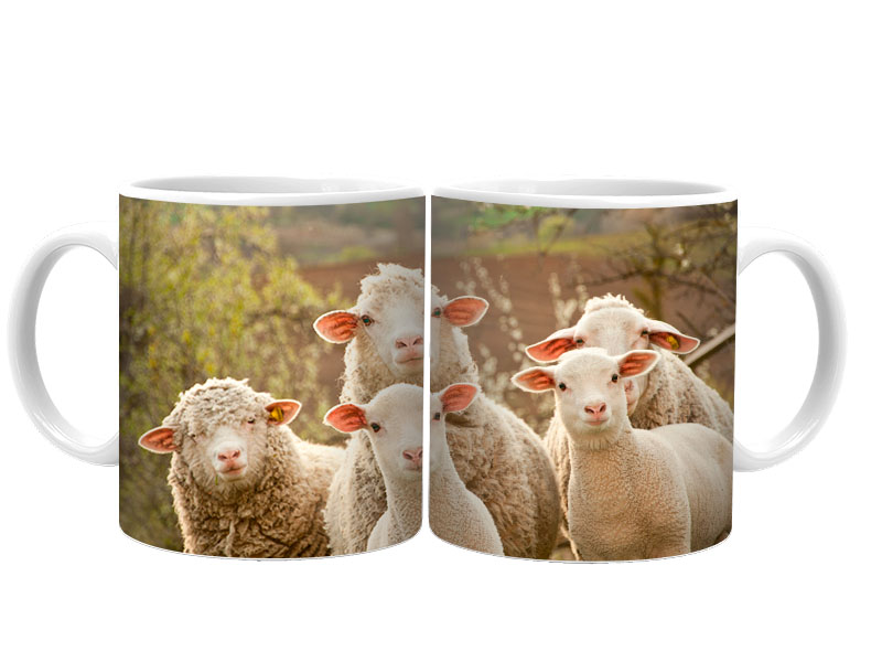 19075 Keramik  Foto Tasse Schafe