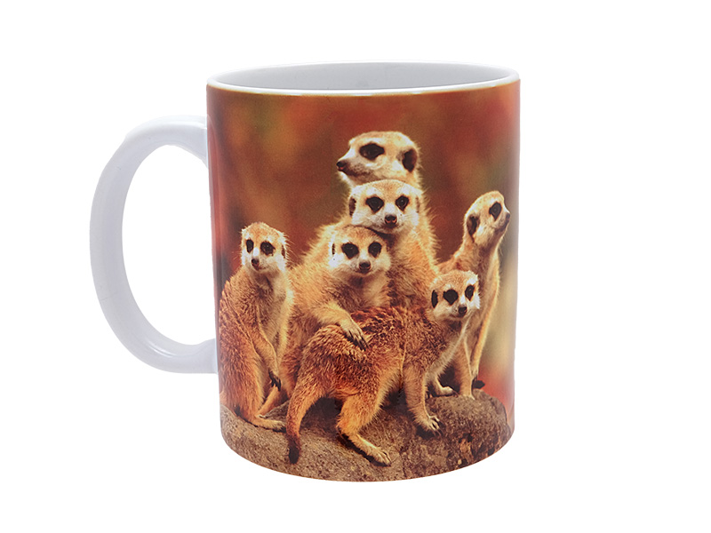 16997-0 Keramik Foto Tasse Erdmännchen