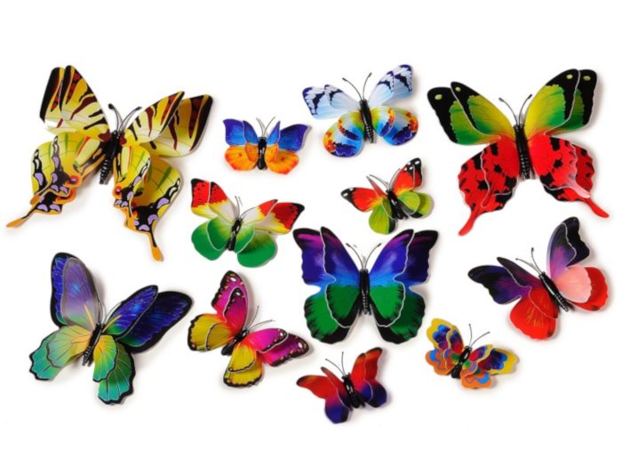 Magnet Schmetterling bunte Farben