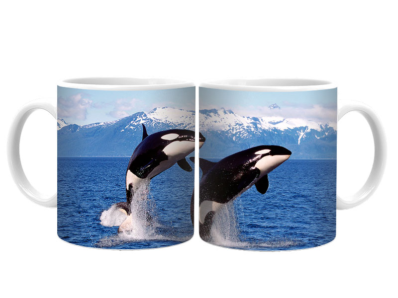 19060 Keramik  Foto Tasse Orcas