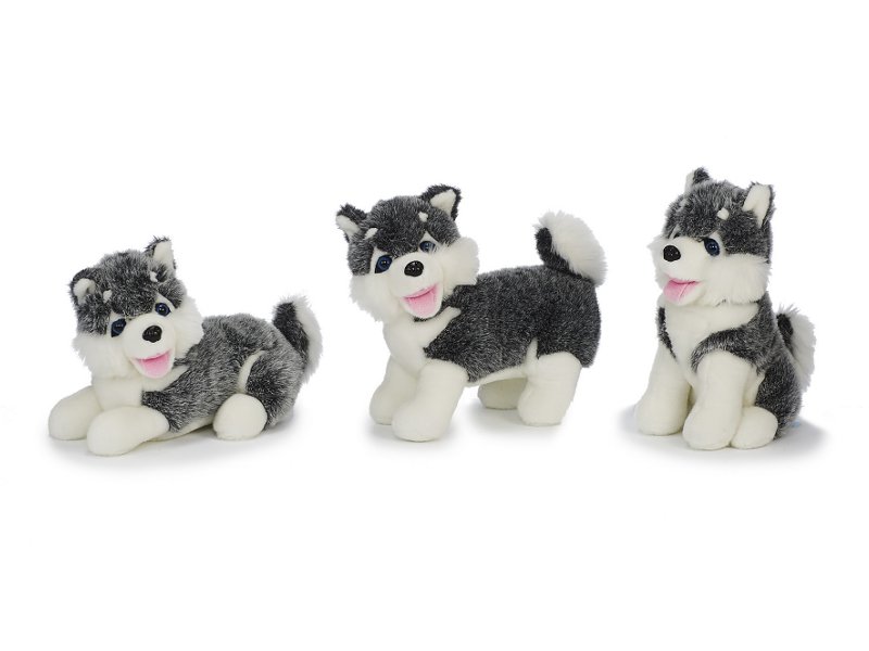 38129 Plüsch Husky
