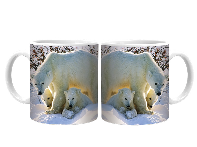 16938 Keramik Foto Tasse Eisbär