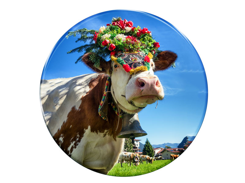 16671 Foto Magnet Almabtrieb rund