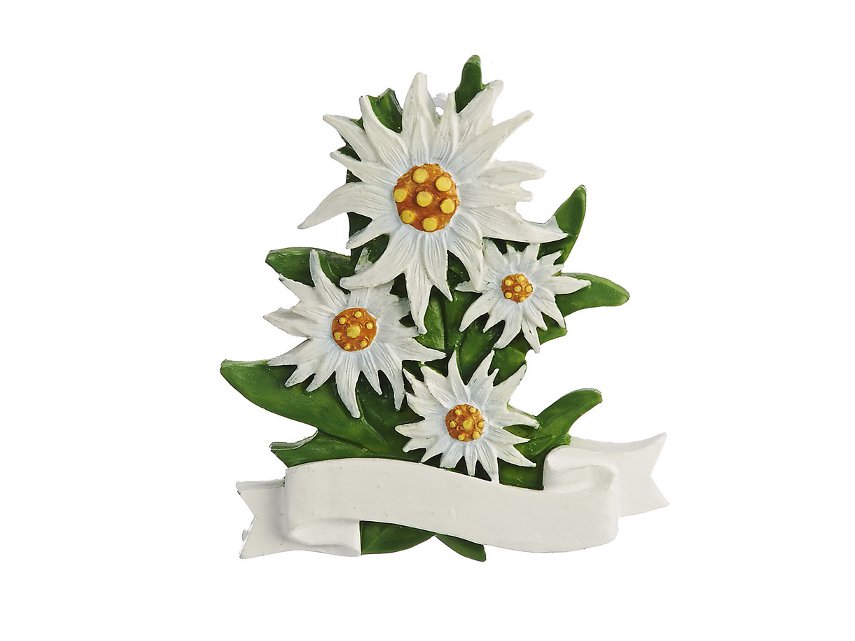 Poly Magnet Edelweiss