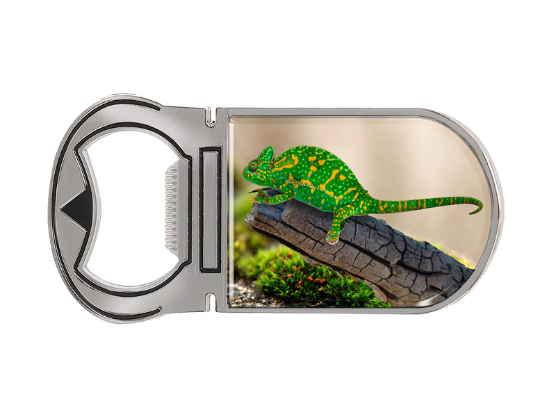 16904 Metall Magnet Kapselheber Camäleon