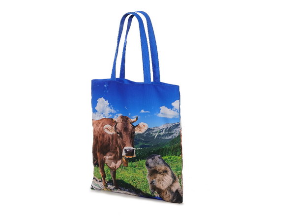60355 Tasche Alpin Design