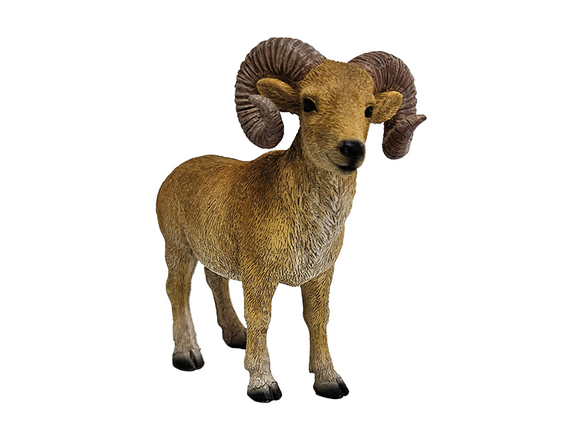 Poly ram 12x5x11cm