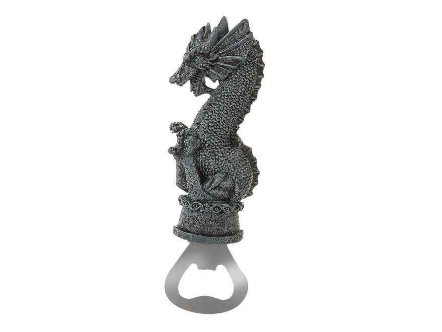 17625 Poly Magnet Drache