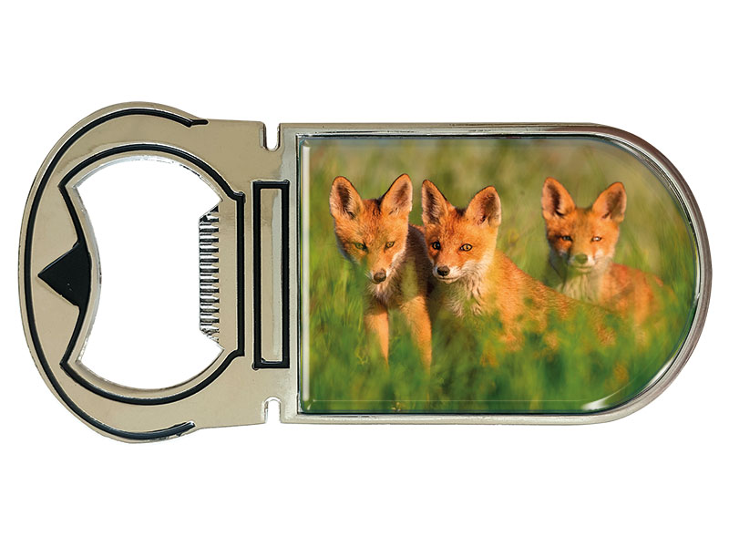 19103 Metall Magnet Kapselheber Füchse