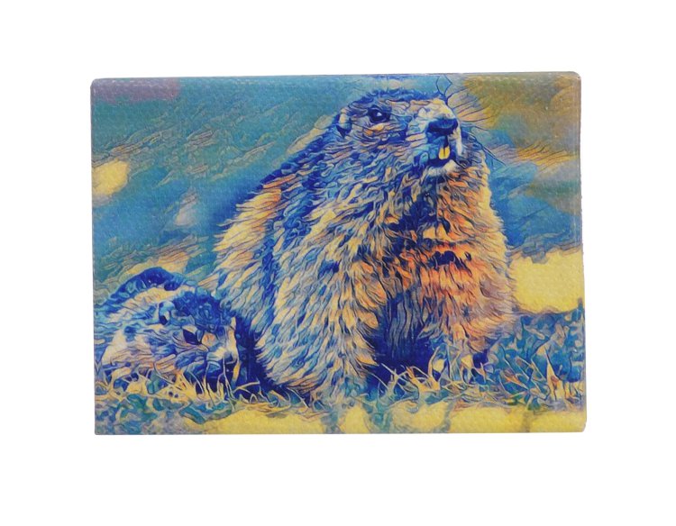 16569-0 Holz Leinwand Murmel