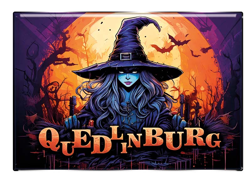 Souvenir Foto Magnet rechteckig Quedlinburg 8x5,5cm Souvenir Foto Magnet rechteckig Quedlinburg 8x5,5cm