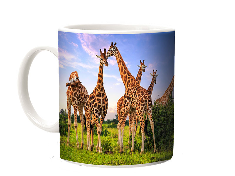16863-0 Foto Keramik Tasse Giraffen