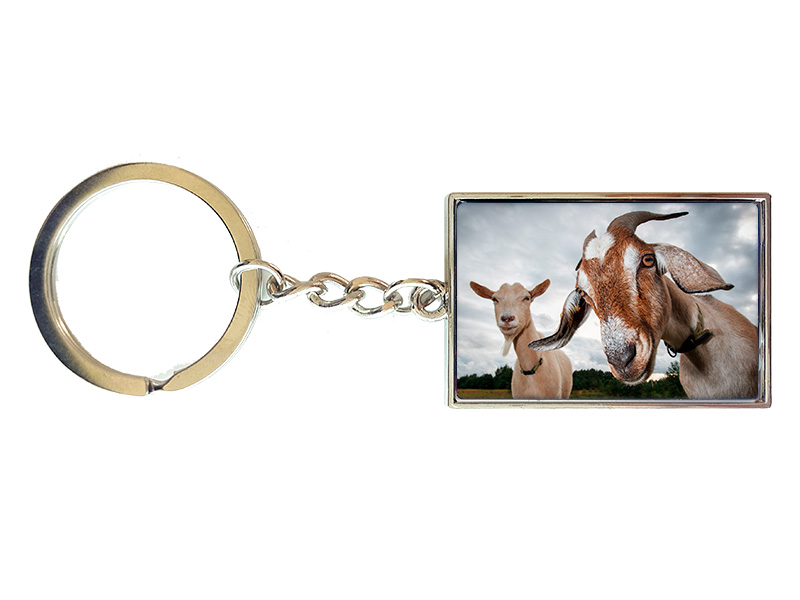 19079 Metall Schlüsselanhänger Ziegen