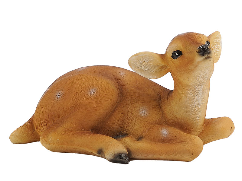 17455 Poly Rehkitz liegend