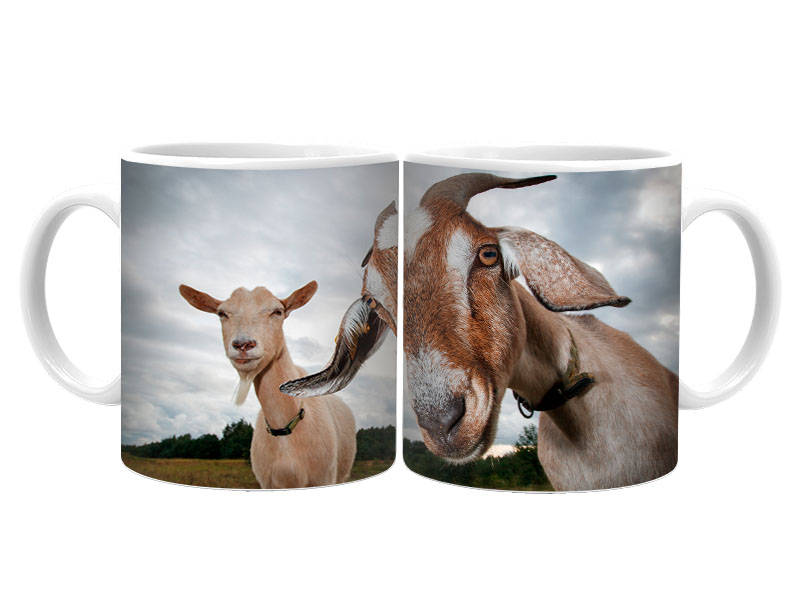 19080 Keramik  Foto Tasse Ziegen