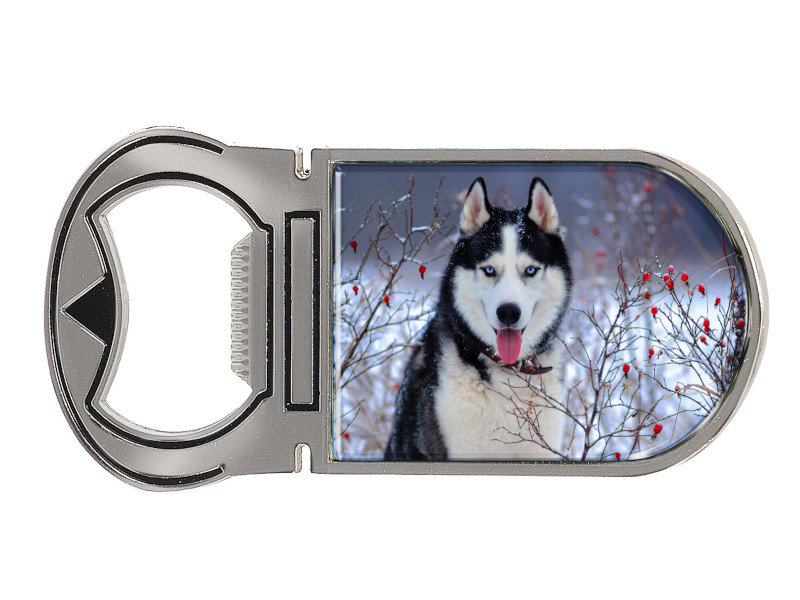 16716 Metall Magnet Kapselheber Husky