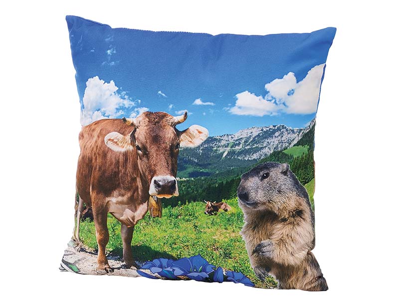 Cushion Alpin design 40 x 40 cm   