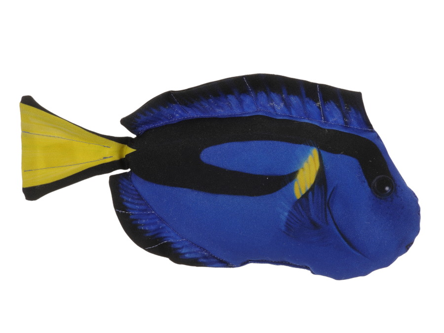 30420 Stoff Doktorfisch