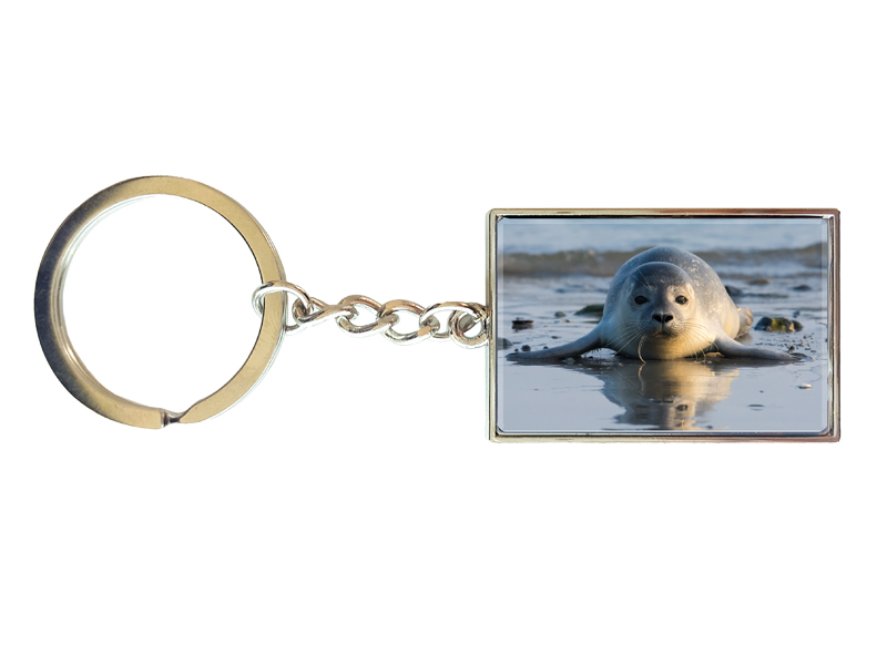 16960 Metall Schlüsselanhänger Robbe