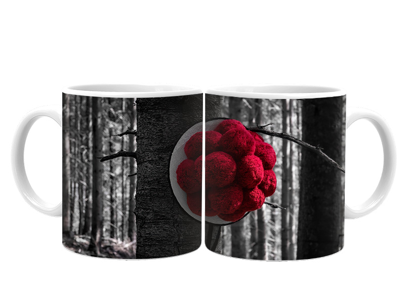 19125 Keramik  Foto Tasse Bollenhut