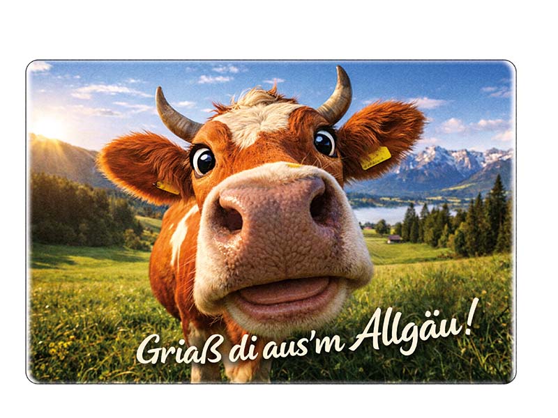 Souvenir Foto Magnet Allgäu aus Steingut 6x4,5cm