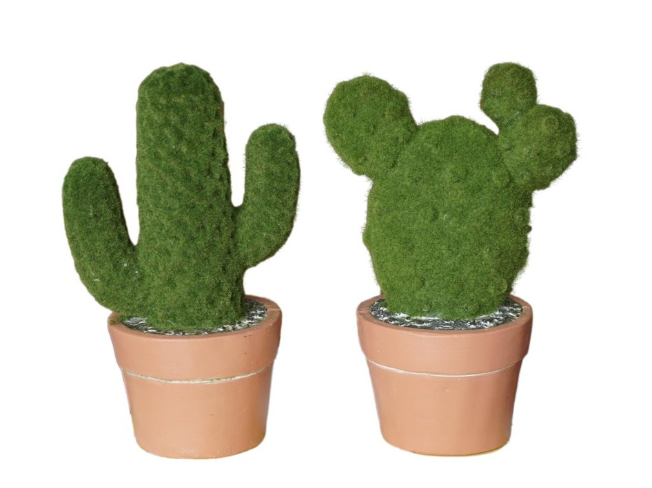 Keramik Kaktus Moosdesign