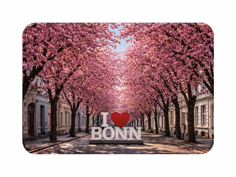 Souvenir Foto Magnet Bonn aus Kunststoff 8x5cm