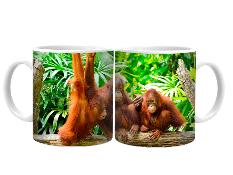 19065 Keramik  Foto Tasse Orang-Utans
