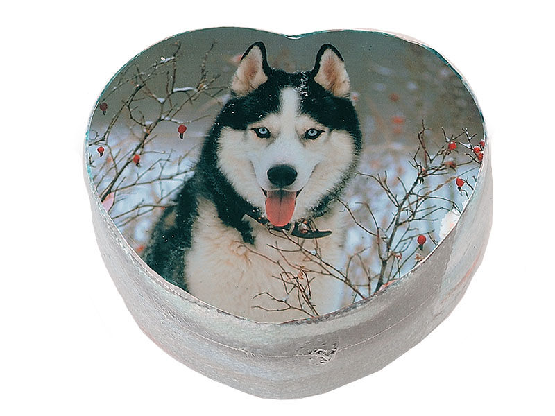 60394-0 Magisches Gästehandtuch Huskydesign