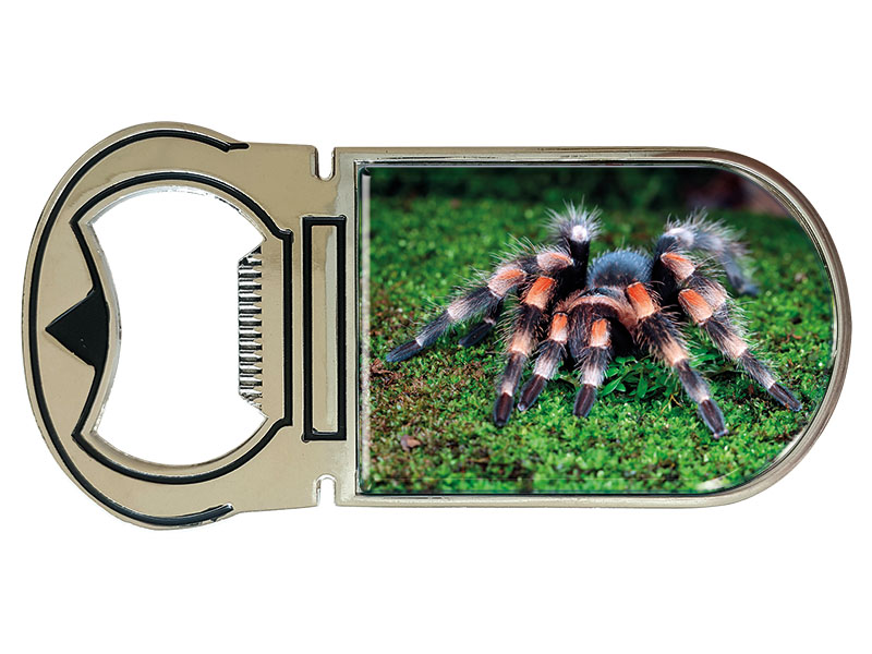 19093 Metall Magnet Kapselheber Vogelspinne